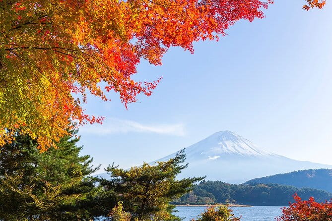 Private Mount Fuji and Hakone City Tour From Tokyo - Inclusions and Pricing