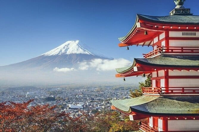 Private Mount Fuji and Hakone One Day Tour - Accessibility Features