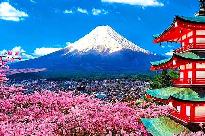 Private Mount Fuji and Hakone Sightseeing Day Trip With Guide - Meeting and Pickup