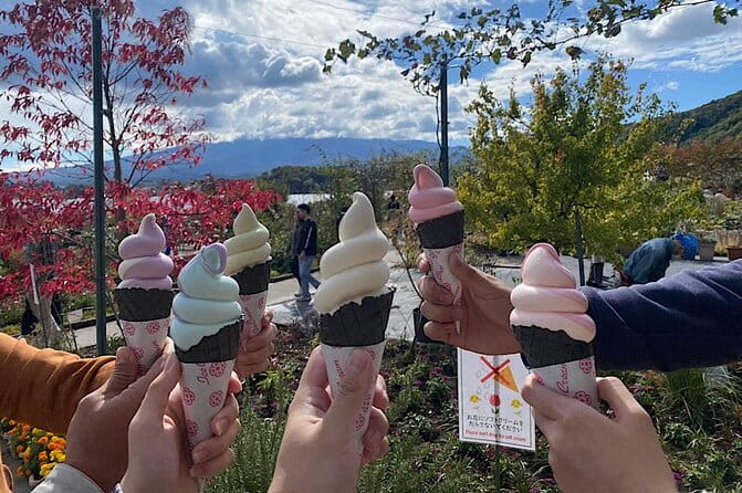 Private Mount Fuji and Hakone Sightseeing Day Trip With Guide - Exploring Mount Fuji and Hakone