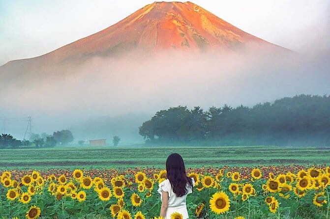 Private Mount Fuji and Hakone Sightseeing Day Trip With Guide - The Guided Experience