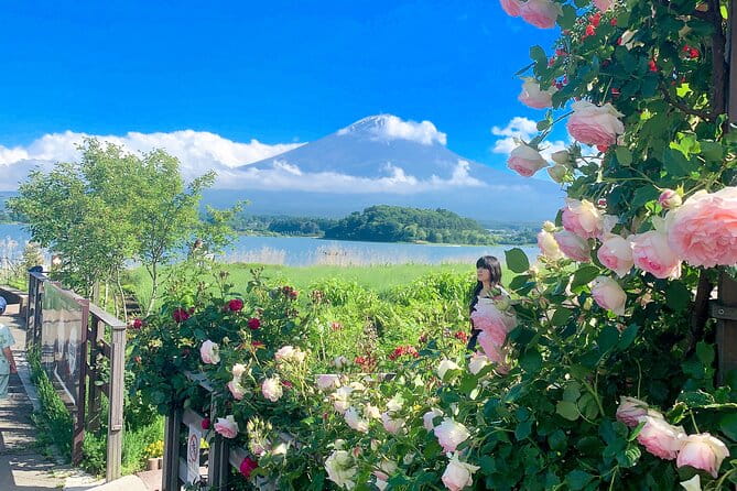 Private Mount Fuji and Hakone Sightseeing Day Trip With Guide - Customizing Your Journey