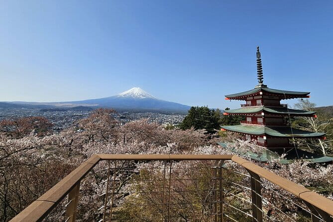 Private Mount Fuji Day Trip From Tokyo by Car - Key Points