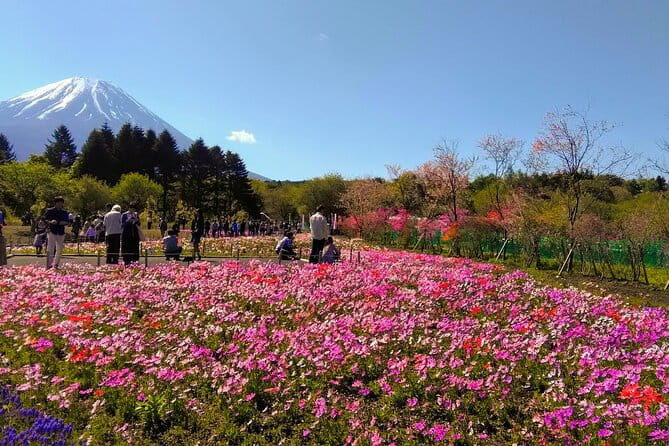 Private Mount Fuji Day Trip From Tokyo by Car - Booking and Cancellation Policy