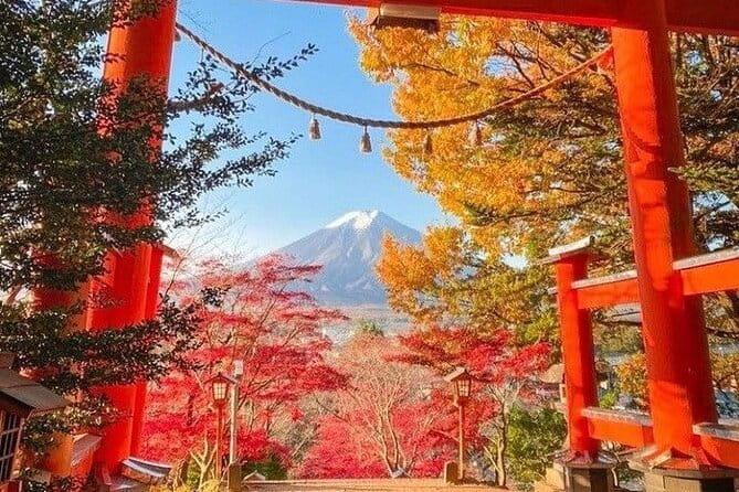 Private Mount Fuji Sightseeing Day Trip With Guide - Key Points