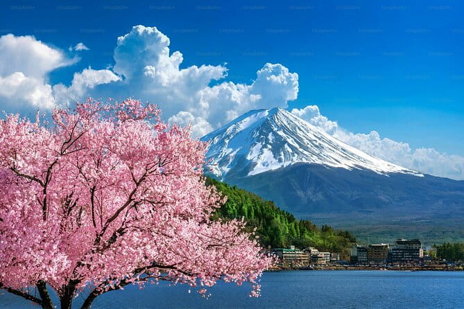 Private Mount Fuji Tours With Car Pickup From Tokyo - Flexible Pickup Options for Travelers