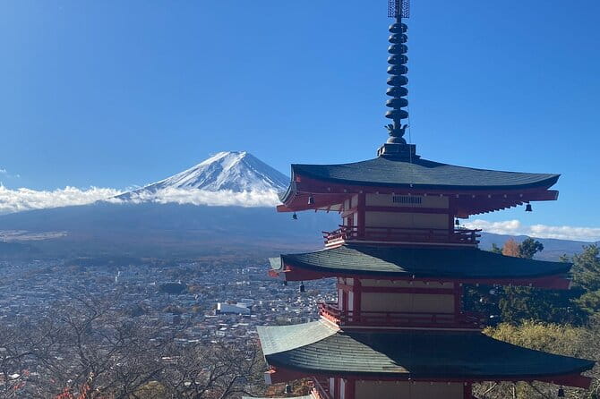 Private Mount Fuji Tours With Car Pickup From Tokyo - Traveler Experiences and Feedback