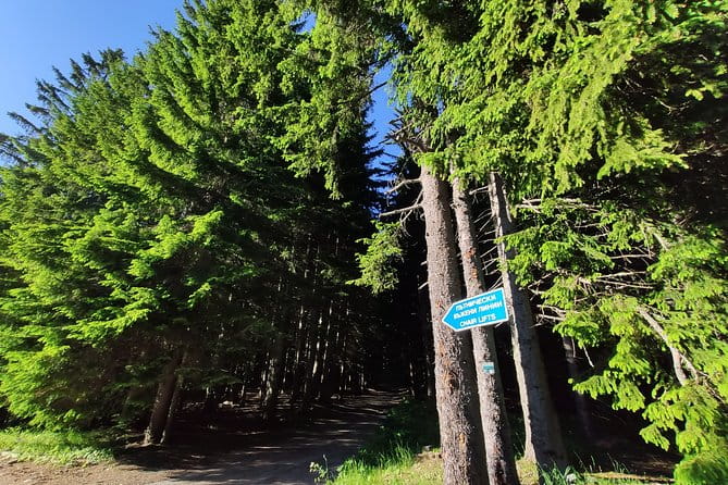 Private Mountain Biking in Vitosha from Sofia - Discovering Vitosha on Two Wheels: An In-Depth Look