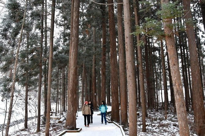 Private Mountain Stream Fishing Experience in Hokkaido - Booking Your Private Fishing Experience