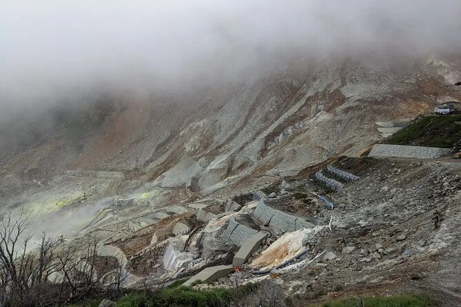 Private Mt Fuji and Hakone Day Tour From Tokyo - Accessibility and Participation