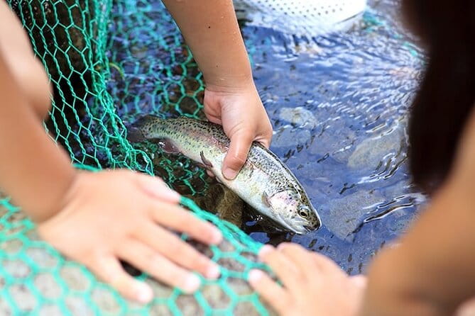 Private Mt. Fuji Catching Fish and BBQ Tour With Hotel Pick up - Pickup and Transportation Details