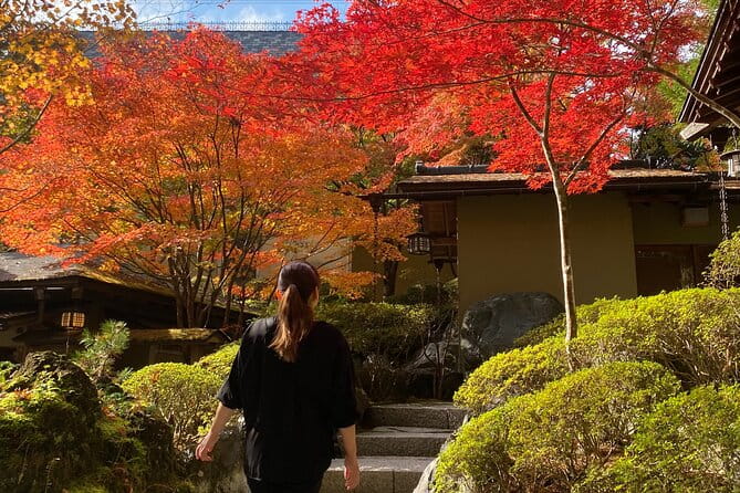 Private Mt.Fuji Driving Tour With a Local English Speaking Guide - Local Insights From Your Guide