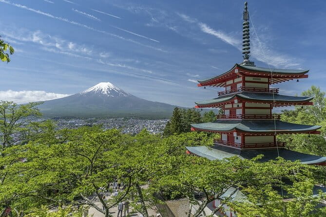 Private Mt Fuji, Hakone and Tokyo Tour - English Speaking Driver - Tokyo City Highlights