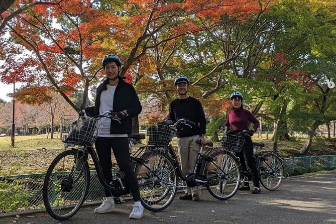 Private Nara E-Bike - Family Tour With Lunch - Meeting and End Point
