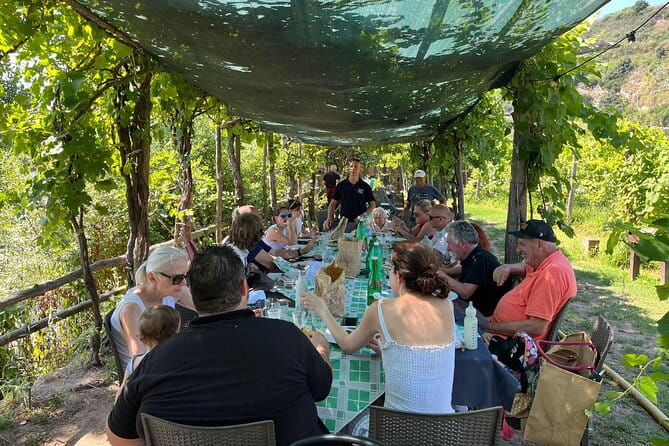 Private Natural Wine Vs Byodinamic and Organic Wine Tour - The Tasting Experience: Wines and Food Pairings