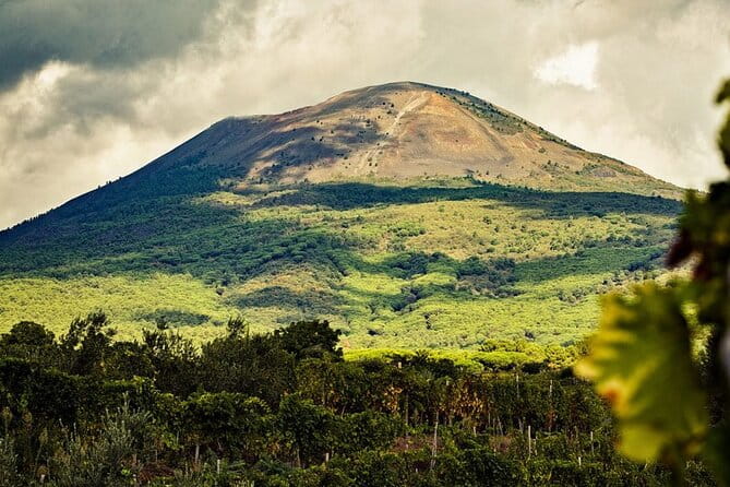 Private Natural Wine Vs Byodinamic and Organic Wine Tour - Summary