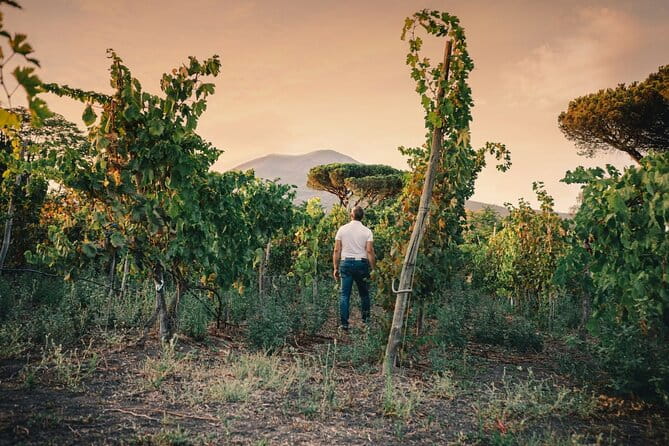 Private Natural Wine Vs Byodinamic and Organic Wine Tour - FAQ