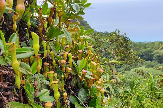 Private Nature Tours & Trail 1 to 5 Persons - Reviews and Ratings