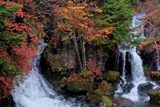 Private Nikko Tour With Transfer - Admission Fees for Attractions