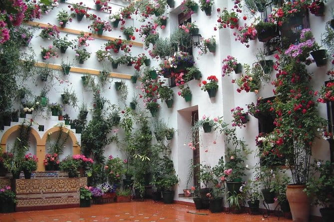 Private Old Cordoba walking tour and Mosque-Cathedral - My Advice for Making the Most of This Tour