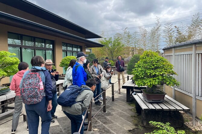 Private Omiya Bonsai Village Tour With Licensed Guide - Key Points