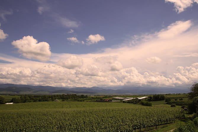 Private: Outdoor Escape Game Tuniberg: Eduardo & the Wine Secret - Key Points / Takeaways