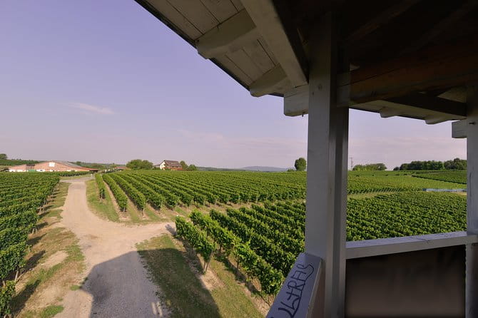 Private: Outdoor Escape Game Tuniberg: Eduardo & the Wine Secret - Final Thoughts