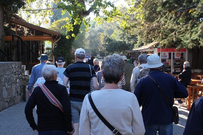 Private Panaromic Ephesus & Surroundings with Small Group Option - Price and Value Analysis