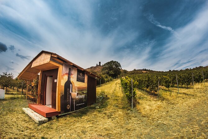 Private PICNIC in Bohemian Vineyards and Wine Tasting 4WD Tour - Exploring the Countryside