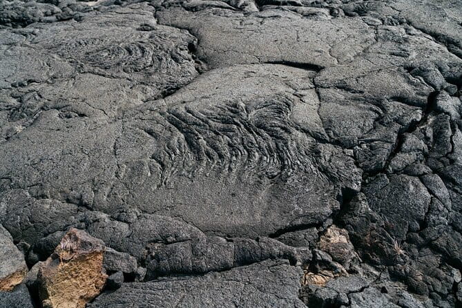 Private Pico Wine Tour (Half Day) - In-Depth Review of the Pico Wine Experience