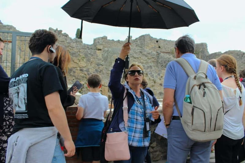 Private Pompeii & Herculaneum Tour with Guide & Driver - Who Will Love This Tour?
