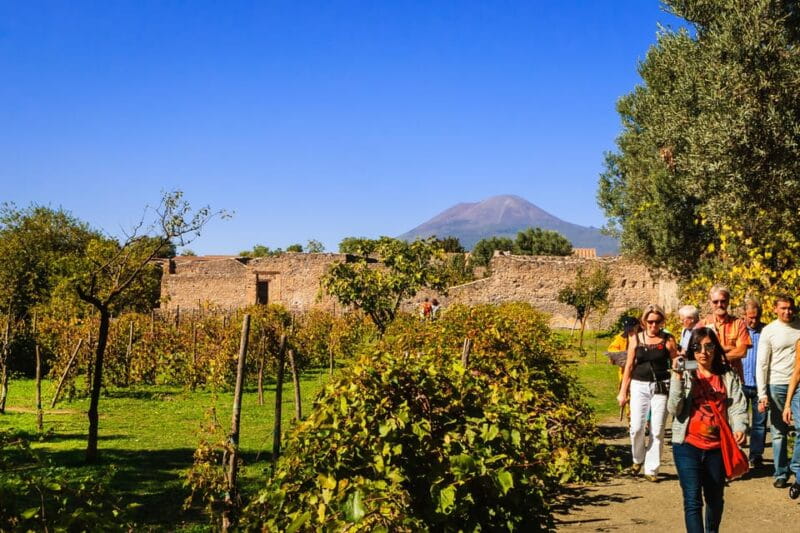 Private Pompeii & Vesuvius Wine Tasting Tour - Key points / Takeaways