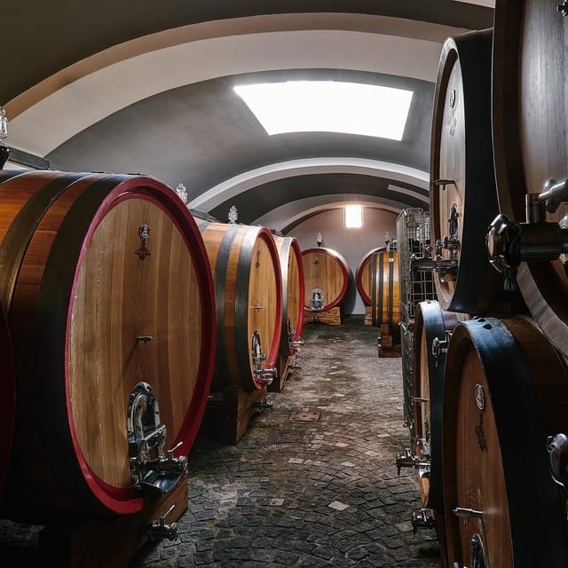 Private Pompeii & Vesuvius Wine Tasting Tour - Final Thoughts