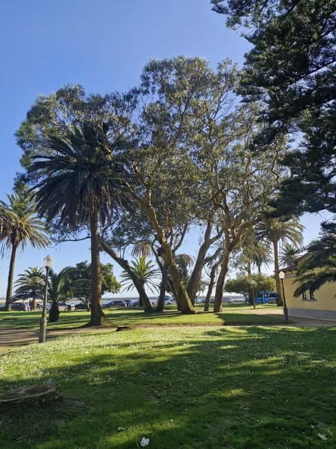 Private Porto City Tour with Seafood Lunch and Coastal Views - What to Expect During the Day