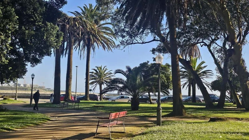 Private Porto City Tour with Seafood Lunch and Coastal Views - FAQ