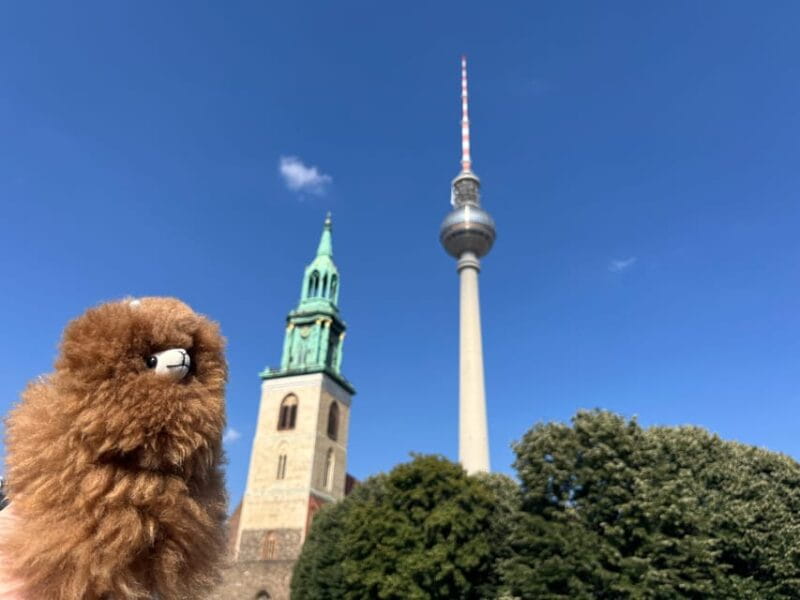 Private Potsdam Highlights: Half-Day Guided Tour Experience - The Itinerary Breakdown: What You Can Expect