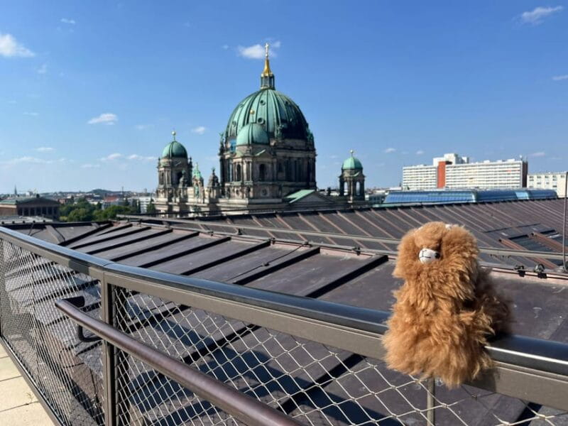 Private Potsdam Highlights: Half-Day Guided Tour Experience - Who Would This Tour Suit Best?