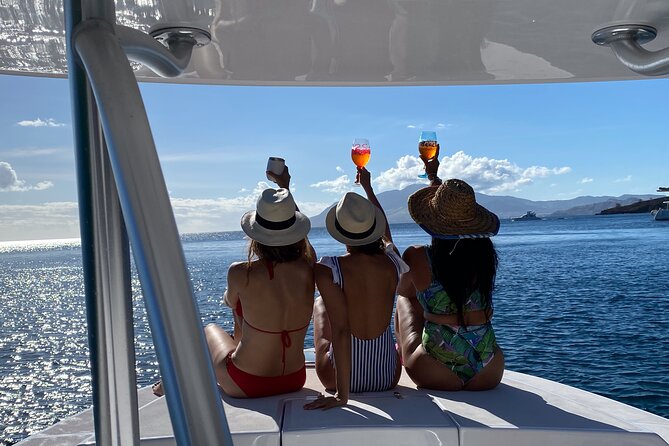 Private Power Catamaran Adventure in Saint Kitts and Nevis - Private Tour Experience