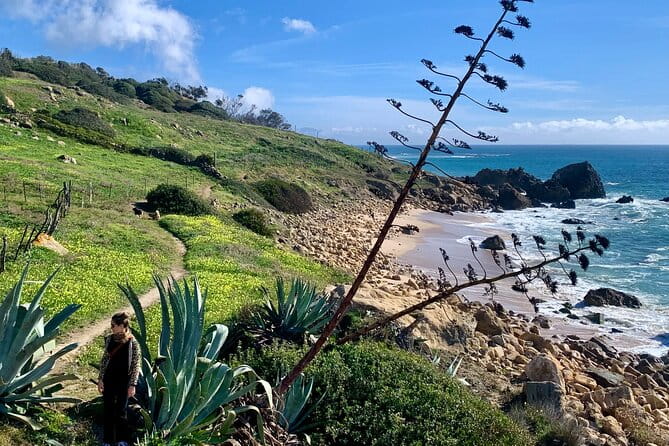 Private Prehistoric and Ancient Tour in Strait Natural Park - Key Points / Takeaways