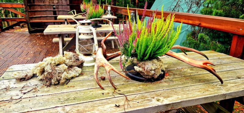 PRIVATE Reindeer Park Adventure by VIP Car - Key points / Takeaways