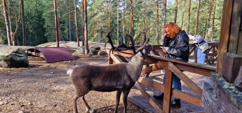 PRIVATE Reindeer Park Adventure by VIP Car - Exploring the Nuuksio Reindeer Park Adventure