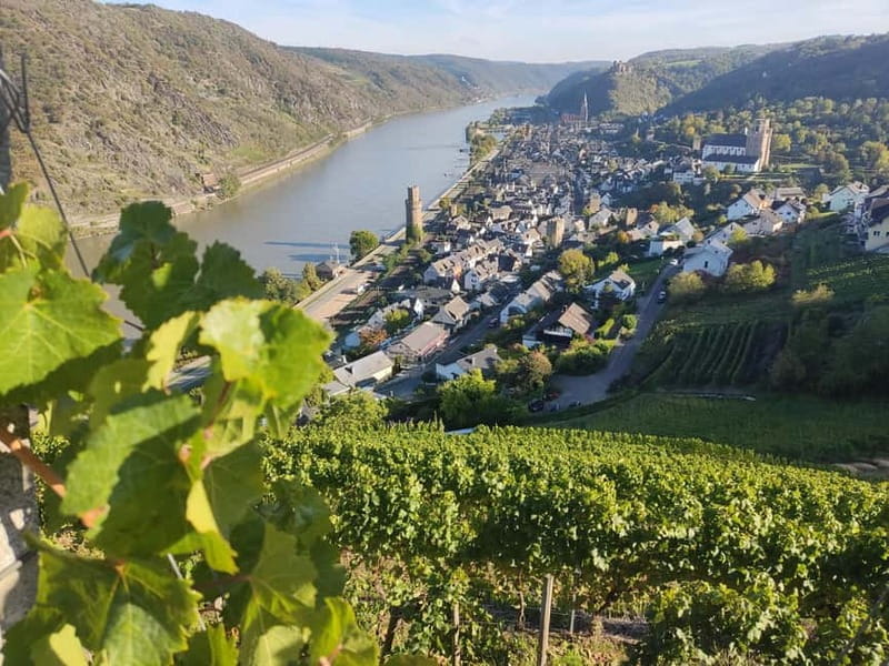 Private Rhine Valley tour with river cruise & wine tasting - A Comprehensive Look at the Private Rhine Valley Tour with River Cruise & Wine Tasting