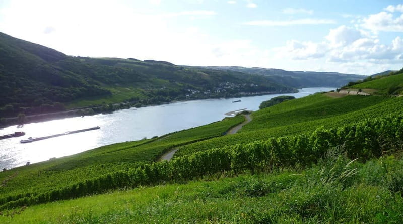 Private Rhine Valley tour with river cruise & wine tasting - How This Tour Fits Different Travelers