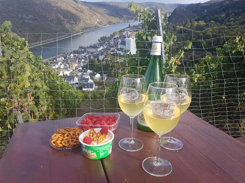 Private Rhine Valley tour with river cruise & wine tasting - Price and Logistics