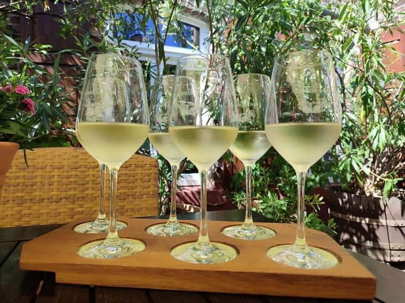 Private Rhine Valley tour with river cruise & wine tasting - Final Thoughts