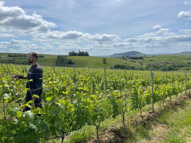 Private Rhône-Valley wine tour - Key Points / Takeaways