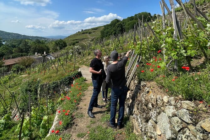 Private Rhône-Valley wine tour - FAQ