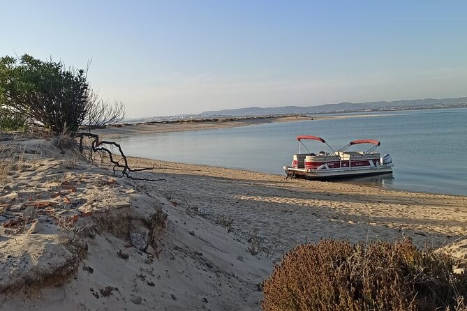 Private Ria Formosa Natural Park Boat Cruise From Faro - Confirmation and Accessibility Details