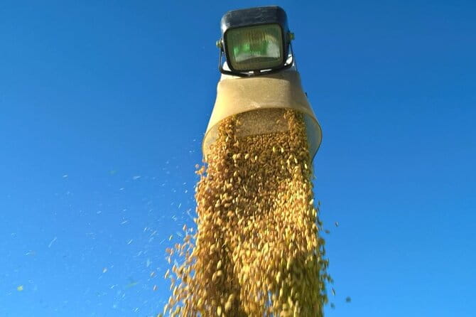 Private Rice Agriculture Experience in Mie - Hands-on Activities and Demonstrations