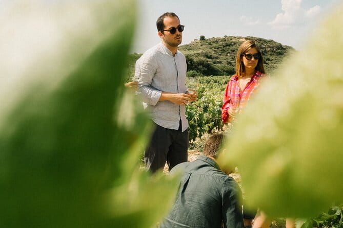 Private Rioja Wine Tour of Vines and Wines in Spain - Key Points / Takeaways